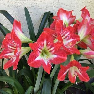 New listings!  New lower prices!